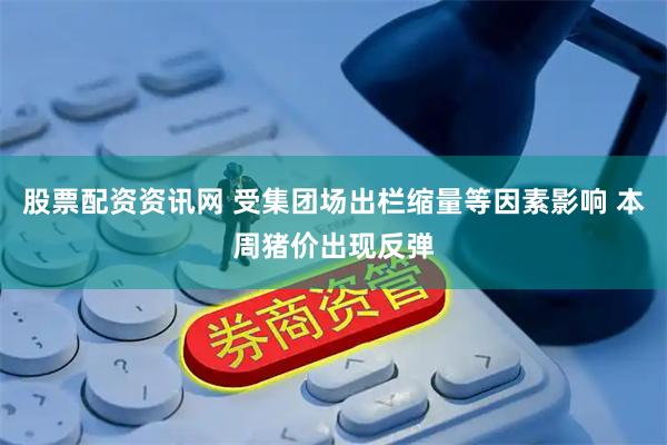 股票配资资讯网 受集团场出栏缩量等因素影响 本周猪价出现反弹