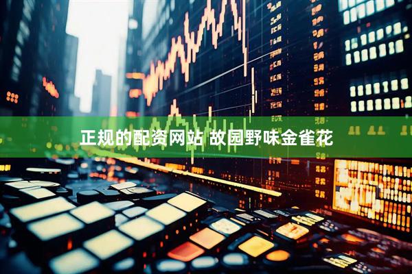 正规的配资网站 故园野味金雀花