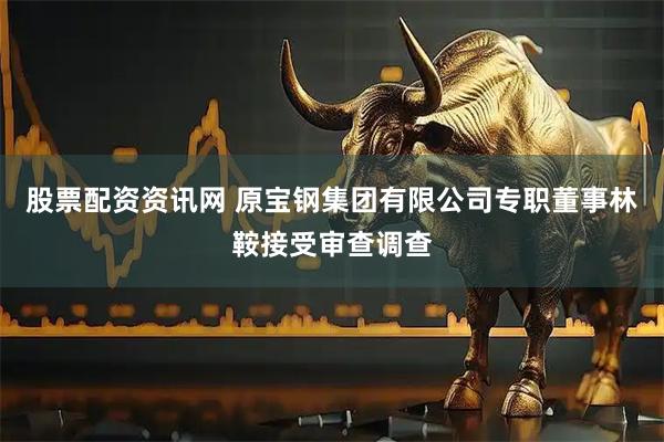 股票配资资讯网 原宝钢集团有限公司专职董事林鞍接受审查调查