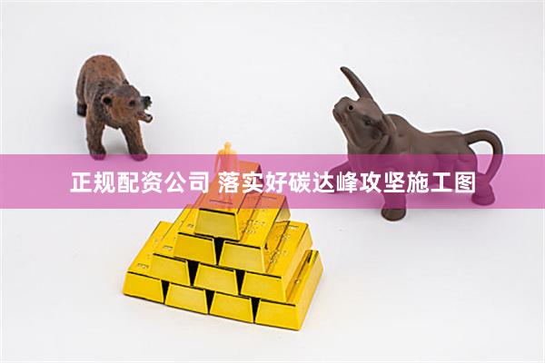 正规配资公司 落实好碳达峰攻坚施工图